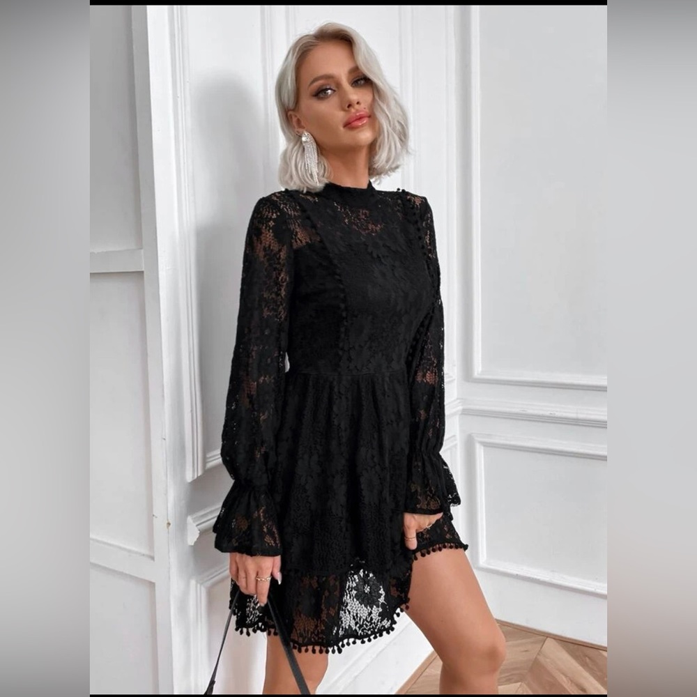 Eilly Bazar Mock Neck Flounce Lace Sleeve Dress